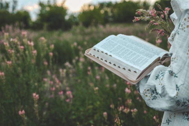 An open Bible in a field of flowers